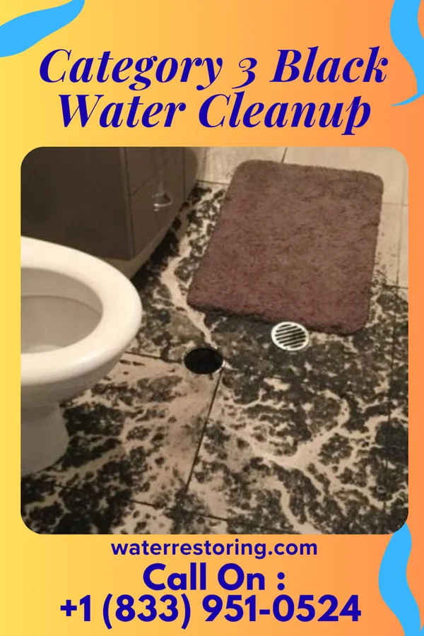 Category 3 Black Water Cleanup in Manteno, IL