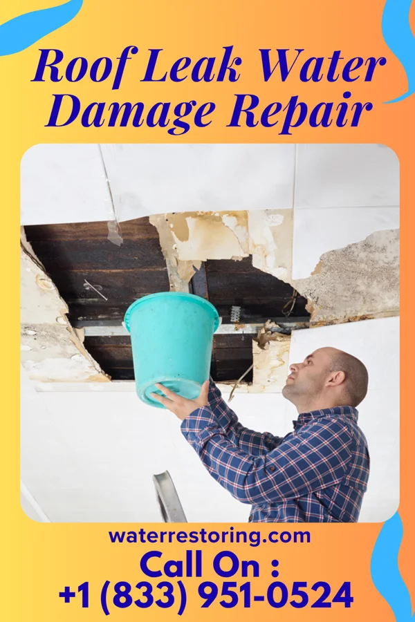 Roof Leak Water Damage Repair in Manteno, IL